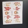 Sticker BN2765