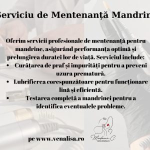 Alternative view of Serviciu mentenanță mandrine